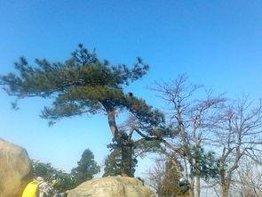 谦卑图片,从图片中感悟人生境界