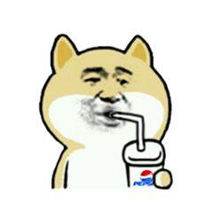 肥柴表情包单身狗,单身狗的欢乐日常