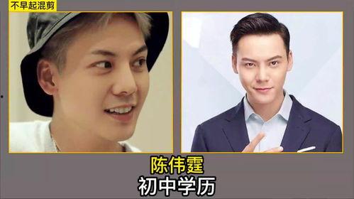 学历低的演员,揭秘那些才华横溢的影视演员